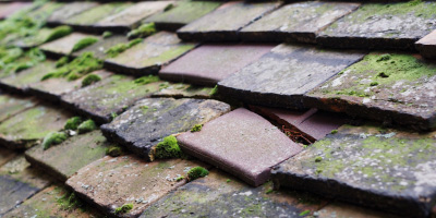 Carlton roof repair costs